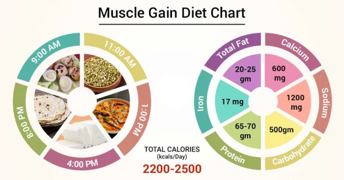 Muscle diet foods build help building bodybuilding lean plan meals five top science based studies Balanced diet guidelines for optimal fitness and muscle gain