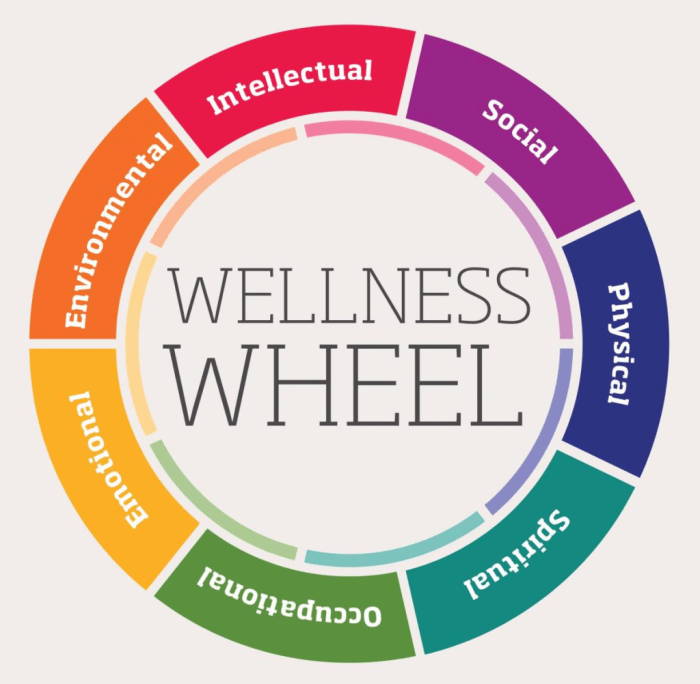 How to create a holistic wellness plan for mind, body, and spirit